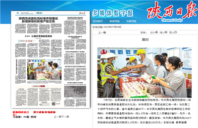 JJB电竞西北集团珑樾府项目高温慰问——《陕西日报》